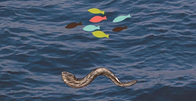 Illustrated shofar and a school of paper fish over open water